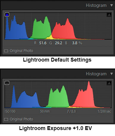 Negative Processing - Exposure Adjustment.jpg